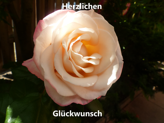 bitte anklicken