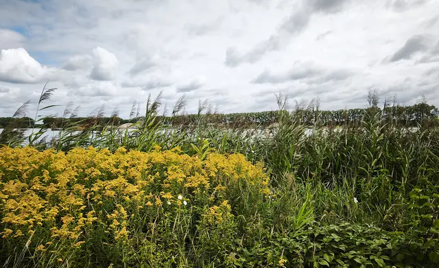 Am Wietzesee | Foto: Shima Mahi