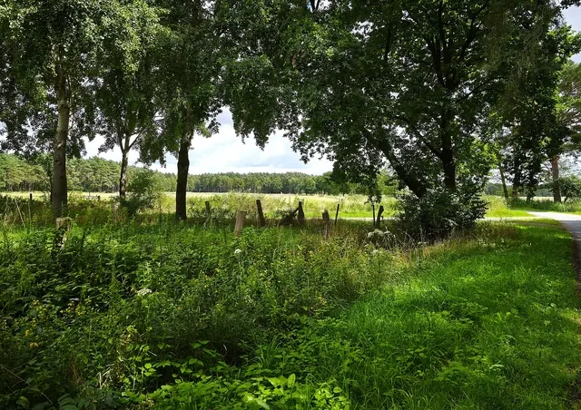 In der Wedemark | Foto: Shima Mahi