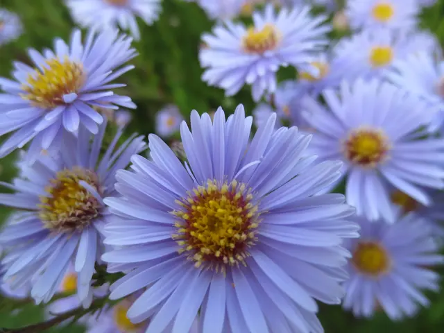 Ein strahlendes blau