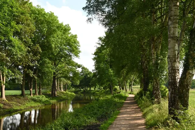 Mühlen in Niedersachsen (Foto: Katja Woidtke)

Idylle an der Klostermühle in Hude - Spazierweg am Ufer der Berne | Foto: Katja Woidtke