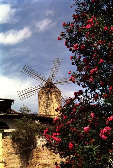 Die Mühlen von Palma de Mallorca