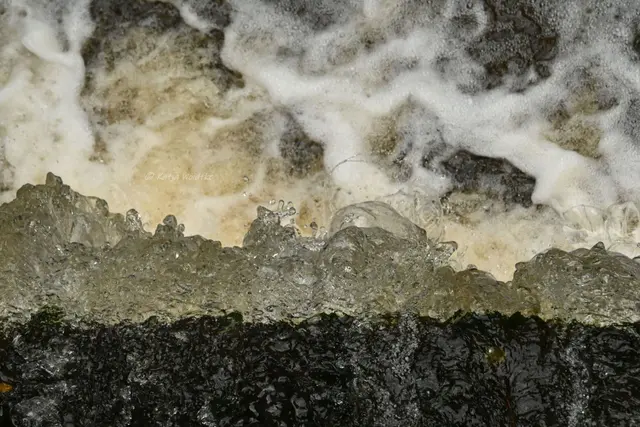 Mühlen in Niedersachsen (Foto: Katja Woidtke)

Idylle an der Klostermühle in Hude | Foto: Katja Woidtke