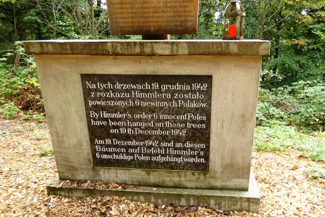 Am 19. Dezember 1942 wurden hier sechs polnische Zwangsarbeiter ermordet. Es "sind an diesen Bäumen auf Befehl Himmlers sechs unschuldige Polen aufgehängt worden”, wie es in der Inschrift unter dem Kreuz heißt.