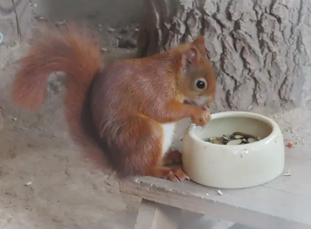 Ausschnitt aus dem Original-Foto. | Foto: M. A.