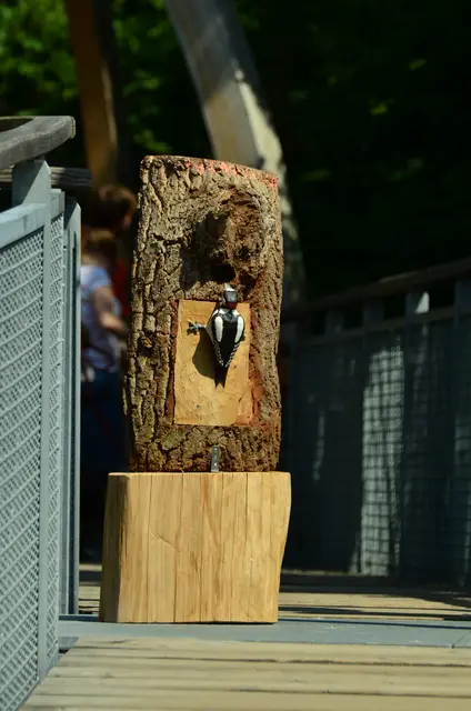 Auch auf dem Tree-Top-Walk gibt es noch Anschauungsobjekte zum Thema Wald und Tiere.