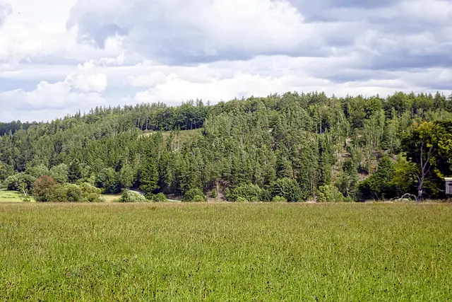 Blick vom Fürstenweg ins Uhlenbachtal
