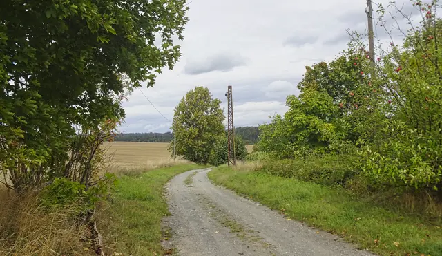 Feldweg von der Klappe nach Siptenfelde 