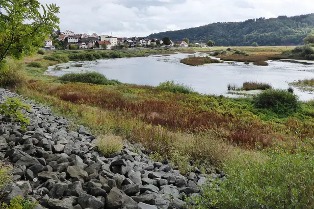 Hier fließt die Eder bei Herzhausen. Der Edersee steht bei normalem Wasserstand hier.
