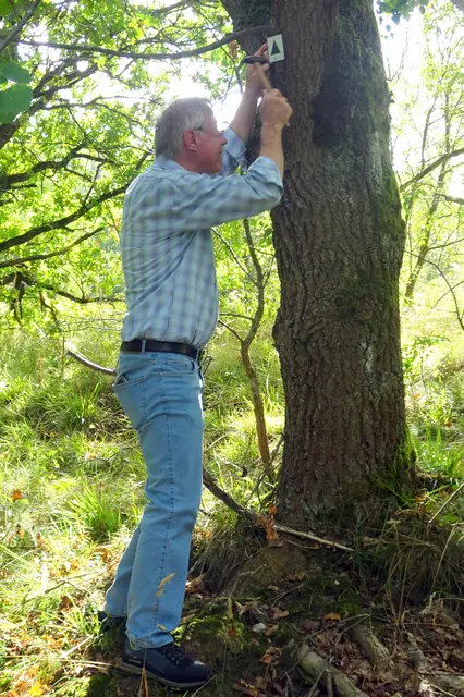 der Wanderleiter Horst Schön beim anbringen eines Wanderschildes am Fürstenweg 