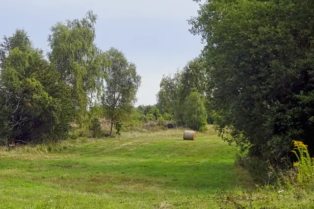 im Uhlenbachtal