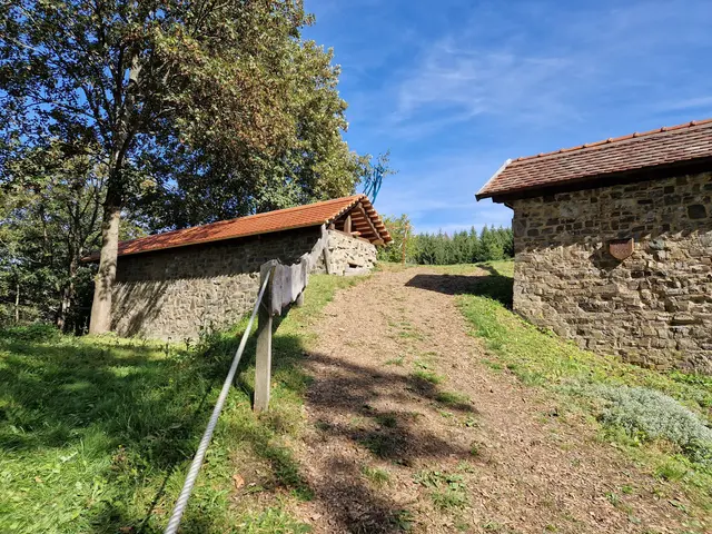 Mauerabdeckung der Burg Hatzfeld mit Biberschwänzen gedeckt.
