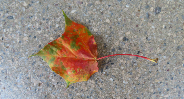 Original-Foto | Foto: M. A.