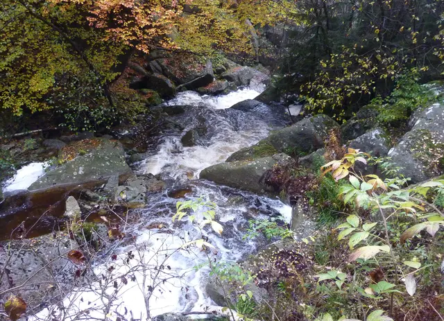 Wir nehmen jedoch den Weg durch das Eckertal. Die Bachmitte war einst die deutsch-deutsche Grenze.