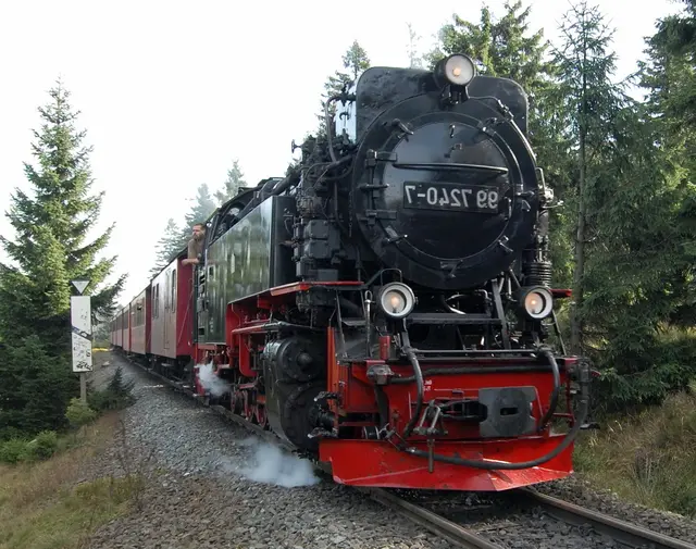 Doch zunächst müssen die Gleise der Brockenbahn überquert werden. Sie hat sich schon von Weitem durch Stampfen und ein langgezogenes Tuten bemerkbar gemacht.