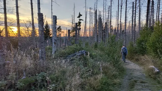 Von Scharfenstein geht es mit müder werdenden Beinen zur Eckertalsperre hinunter. | Foto: Fabian Wolter