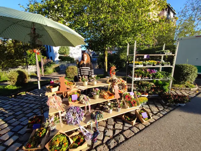 Foto: Stadt Wertingen