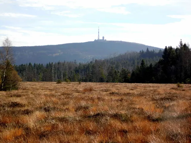 Hochmoore haben nichts mit Hochlagen etwa in Bergregionen, wie hier bei Torfhaus am Brocken, zu tun. 