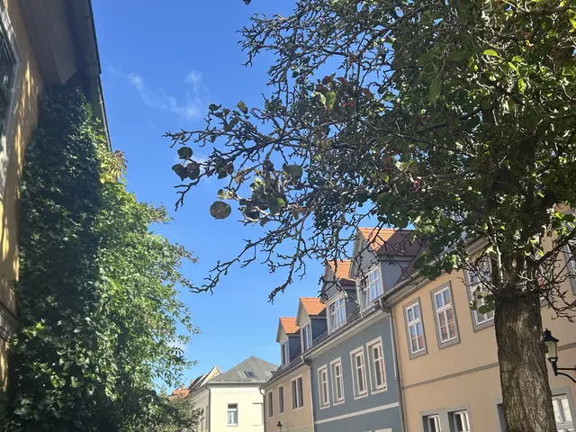 Straße Weingarten