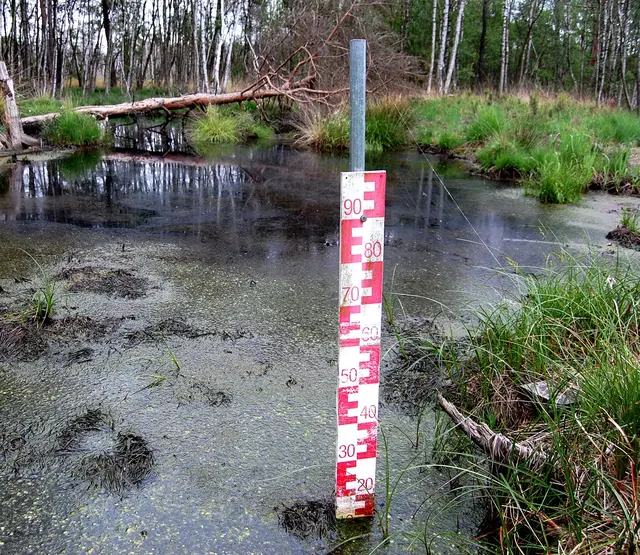 Dazu muss der Wasserstand künstlich angehoben werden.
