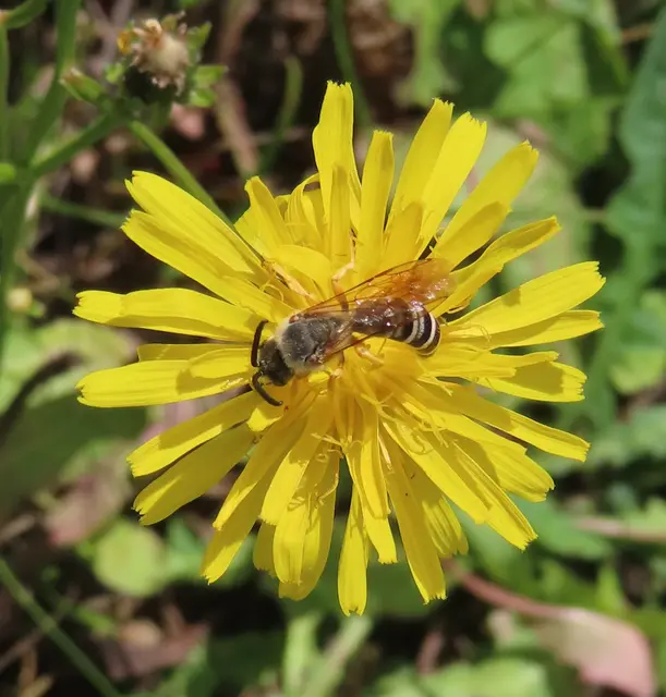 Ausschnitt aus dem Original-Foto. | Foto: M. A.