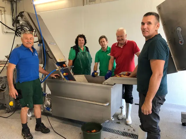 Foto: "Lieferant" Ulrich Schädle wird vom Mostereiteam Josefa Zwerger, Martin Koch, Erhard Zwerger und Christoph Zwerger bereits mit seinen Äpfeln erwartet. 