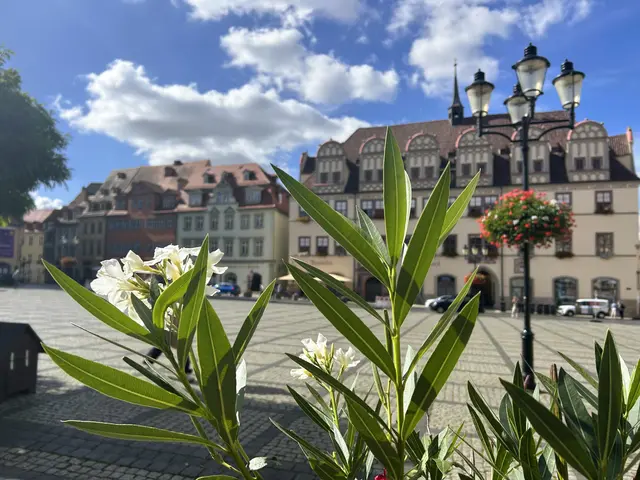 Im Hintergrund das Rathaus