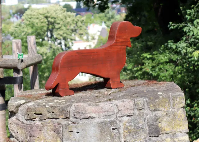 folge dem Hund,  Erlebnispfad für Hunde