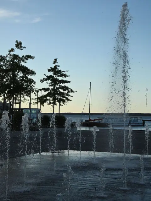 Rund ums Steinhuder Meer (Foto: Katja Woidtke)

Abendstimmung an der Promenade in Steinhude - Wasserspiel | Foto: Katja Woidtke