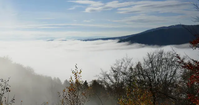 Gudrun - 1 Punkt -  Homichlophobie