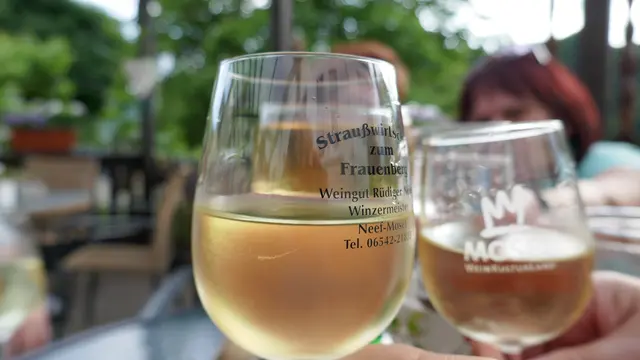 Gudrun - 1 Punkt -  Novinophobie