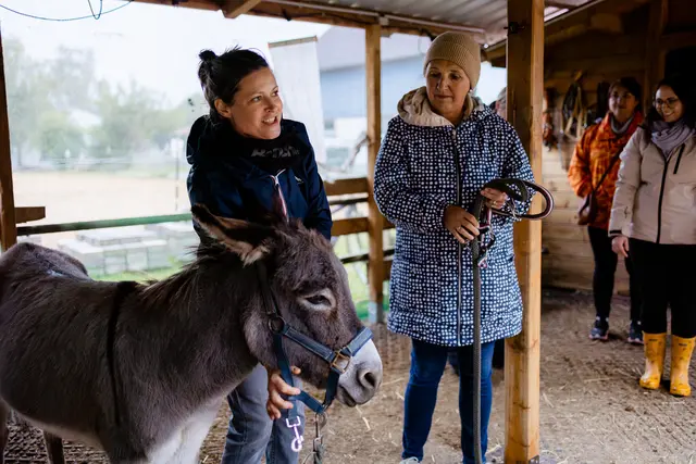 Foto: Sarah Schneller