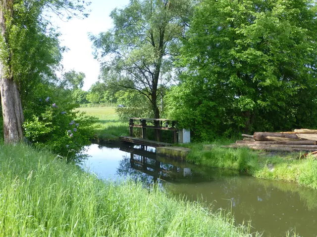 Die Paar mit der tiefen Gumppen war hier der Badeplatz für die Kinder nach dem 2. Weltkrieg, wo manche das Schwimmen erlernten | Foto: Dr. Hubert Raab