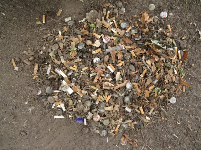 Kippen, Deckel und Eicheln lassen sich nur mühsam trennen.