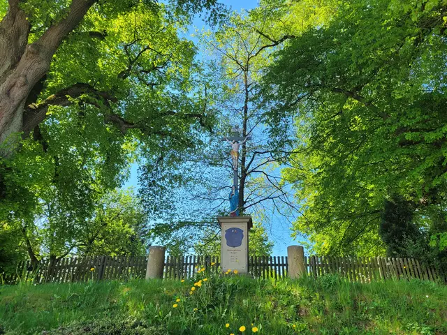 Lindenkreuz | Foto: Dr. Hubert Raab