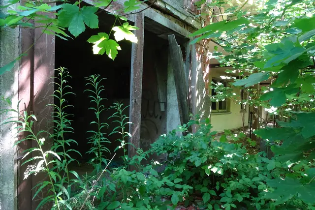 Viktorshöhe Juni 2025