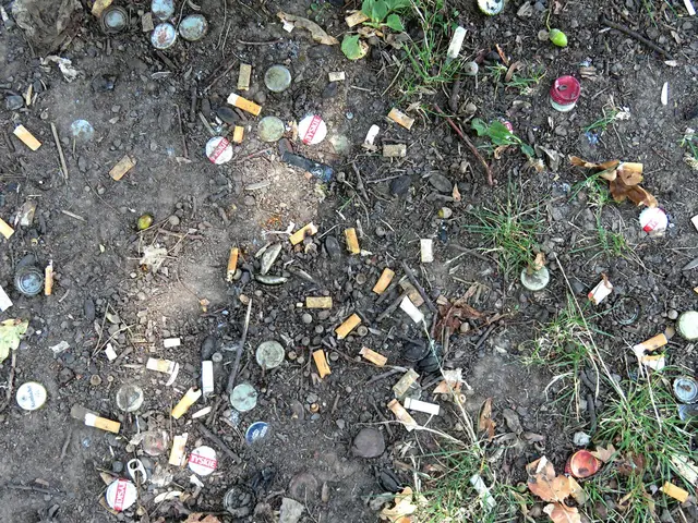 Kippen und Deckel nahe der Bank vom Volk hinterlassen