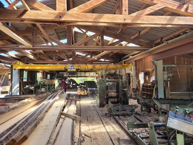 Sägewerk Ziegenaus | Foto: Dr. Hubert Raab