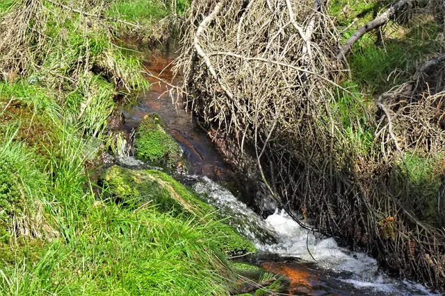 an der Oder am Kaiserweg