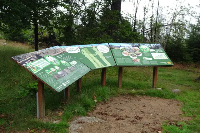 Informationstafeln über den entstehenden Wald gibt es auf dem Achtermann