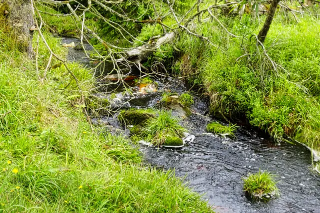 Oder nach dem Zusammenfluss
