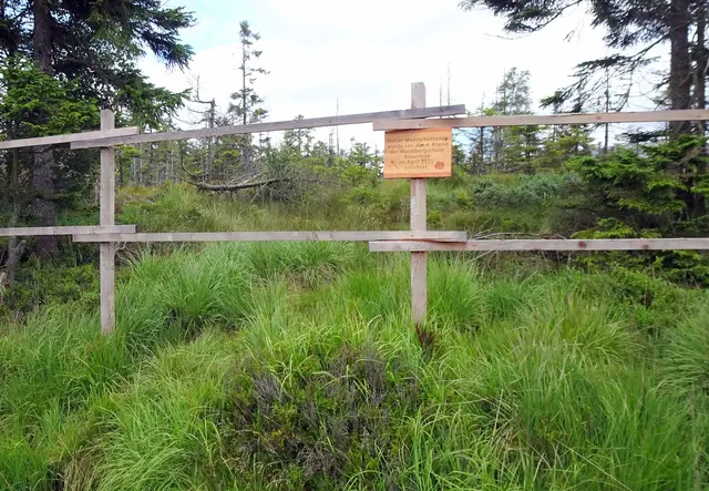 auch am Kaiserweg befinden sich Hochmoore