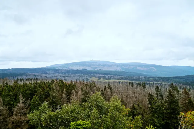 Blick vom Achtermann in Richtung Norden