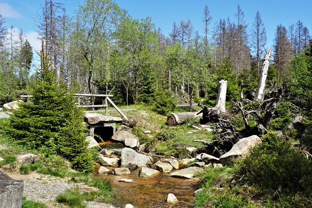 Zusammenfluss der Oder vom Brockenfeld und der Oder aus dem Oderbruch
