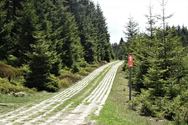 Kolonnenweg n der Schutzhütte am Dreieckigem Pfahl