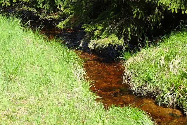 Große Bode am Rotem Bruch