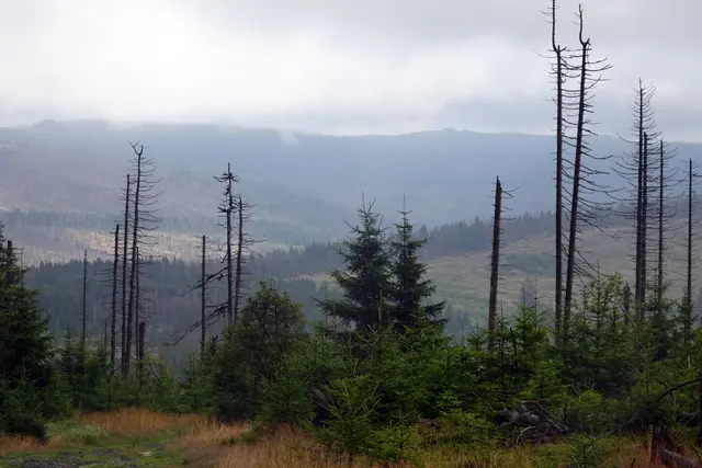 Blick vom Achtermann bei Nebel