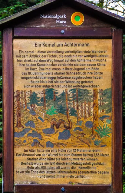 Infotafel am Achtermann