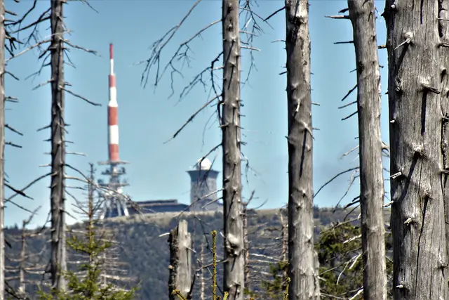 Brocken vom Kaiserweg aufgenommen