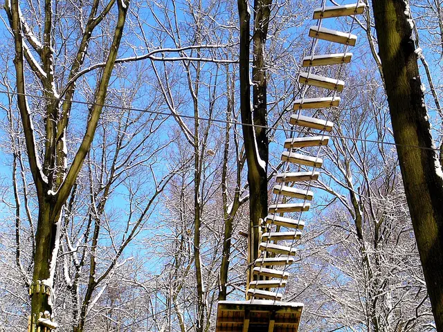 Klettergarten in Velbert-Langenberg